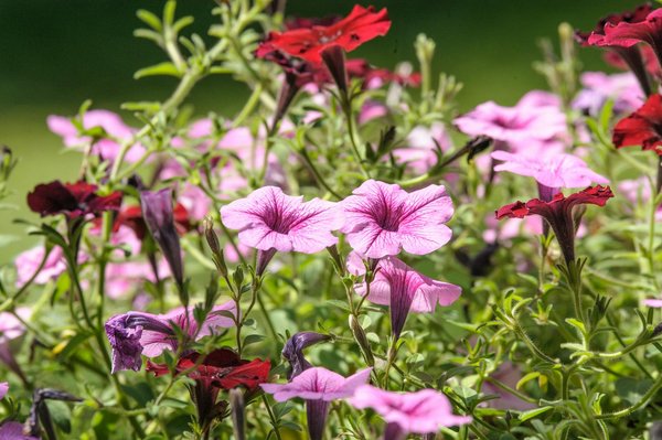 Entreprise maçonnerie alès : votre partenaire en rénovation et construction