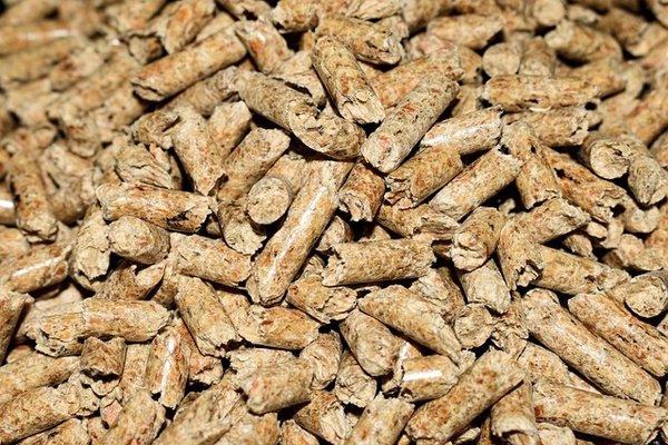 Prix pellet : options variées pour un chauffage à faible coût